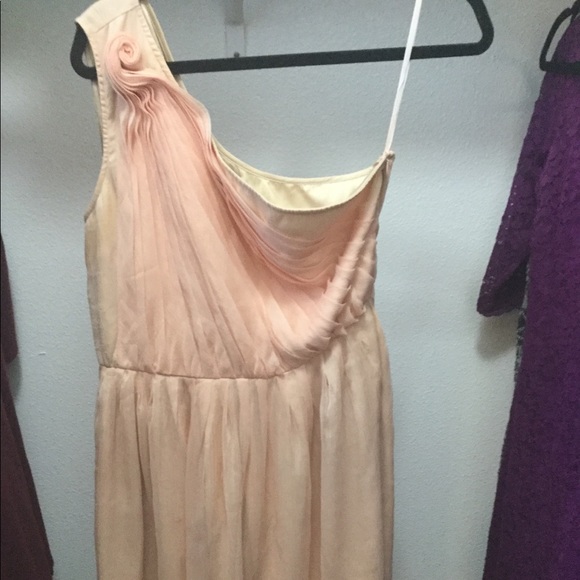 Blush BAR III dress - Picture 2 of 3